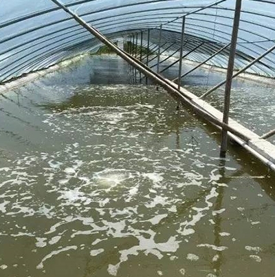 大連某水產養殖場
